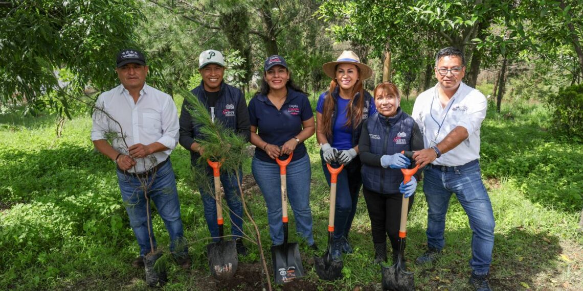 Cerro de San Miguel se consolida como pulmón verde de San Andrés Cholula