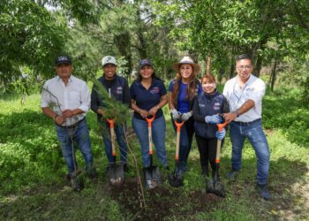 Cerro de San Miguel se consolida como pulmón verde de San Andrés Cholula