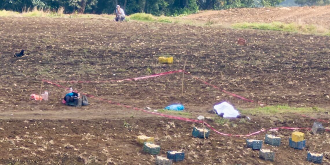 Muere hombre al caerle un rayo en Tlatlauquitepec