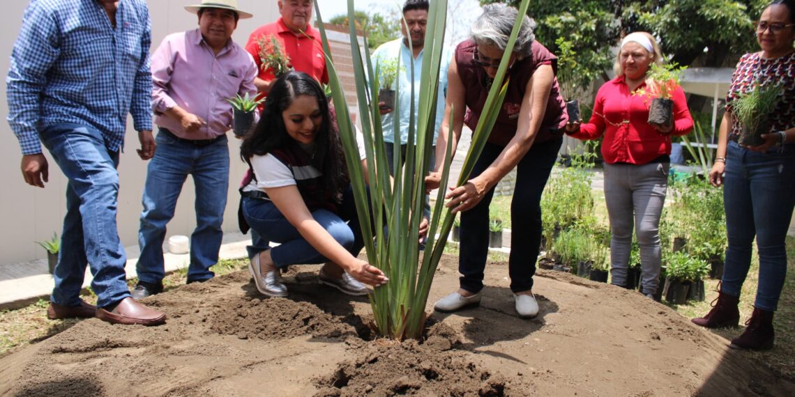 Reafirma Gobierno de Tonantzin Fernández su compromiso con la imagen urbana del municipio