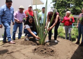 Reafirma Gobierno de Tonantzin Fernández su compromiso con la imagen urbana del municipio