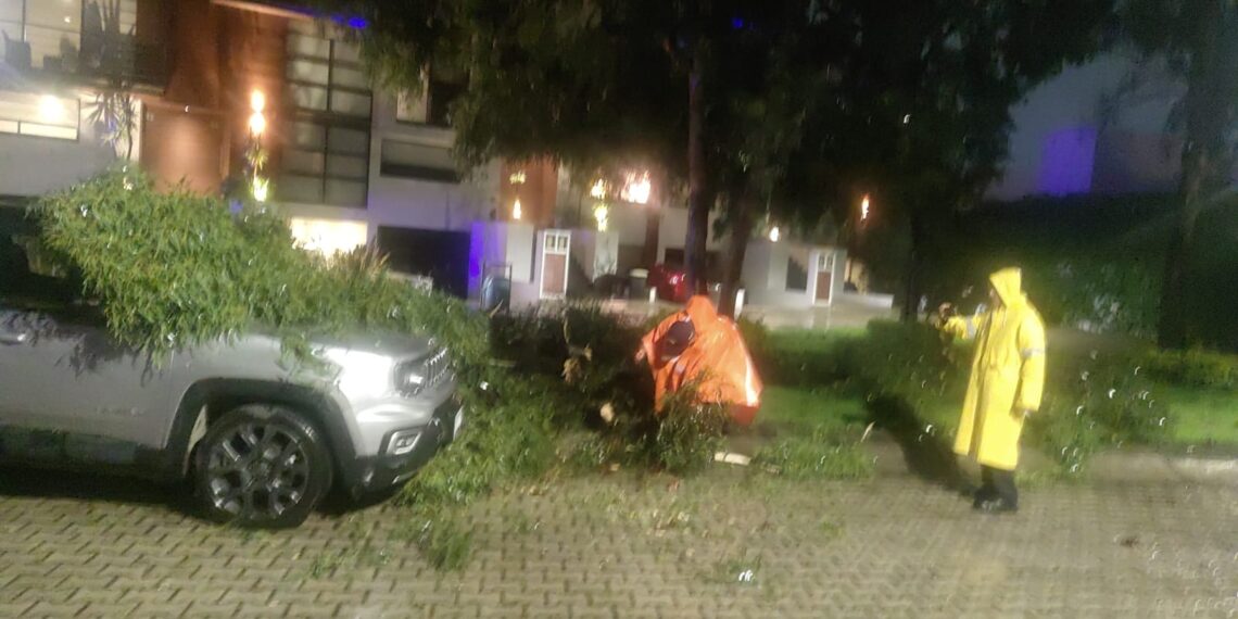 Refuerza Gobierno de Tonantzin Fernández acciones de atención por temporada de lluvias