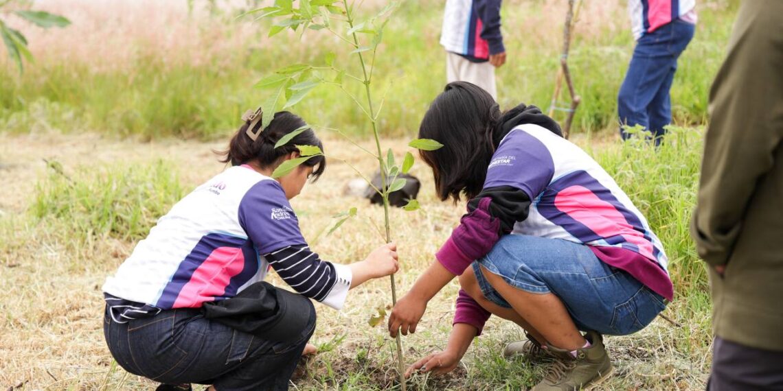 Continúa reforestación en San Andrés Cholula con más de 1,800 árboles sembrados
