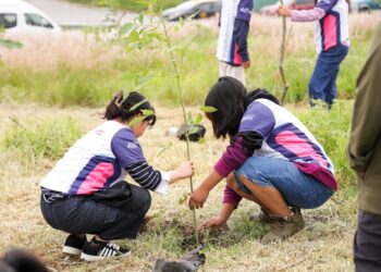 Continúa reforestación en San Andrés Cholula con más de 1,800 árboles sembrados