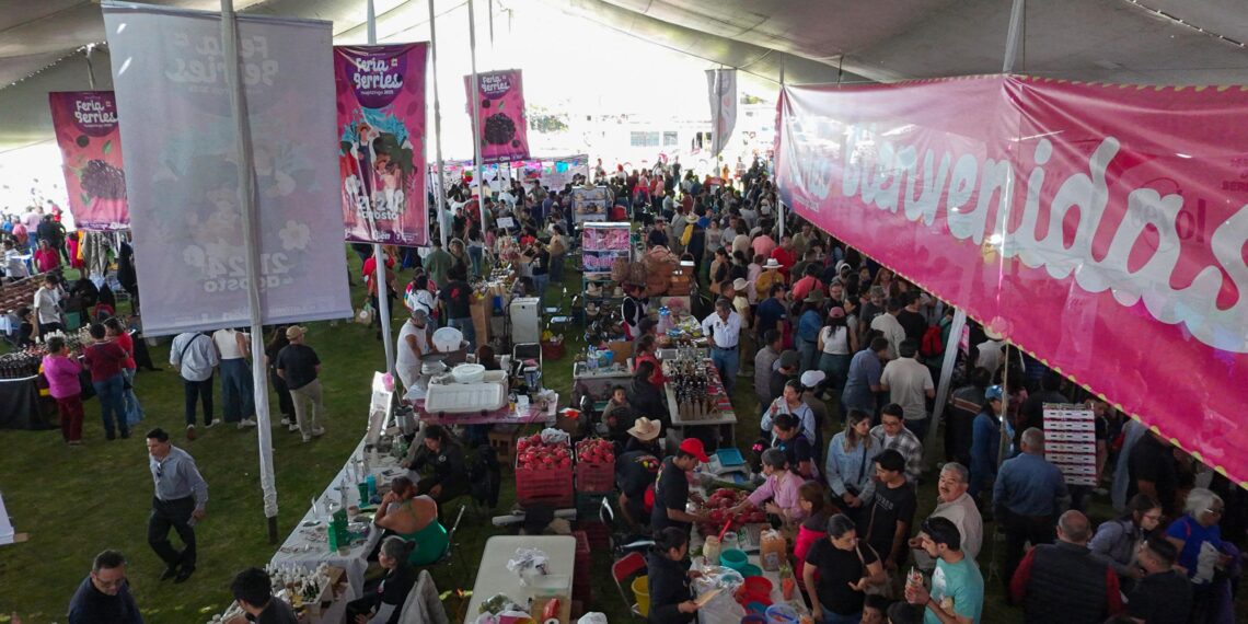 SUMAN 13 MIL VISITANTES AL CIERRE DEL TERCER DÍA DE LA FERIA DE LAS BERRIES EN HUEJOTZINGO