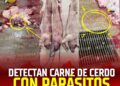 Alerta sanitaria en Texmelucan: carne con parásitos y vísceras prohibidas llegan al mercado municipal
