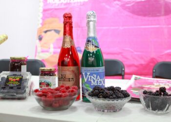HUEJOTZINGO SE PREPARA PARA LA 6TA. EDICIÓN DE LA FERIA DE LAS BERRIES: ¡CUATRO DÍAS DE MÚSICA, GASTRONOMÍA Y TRADICIÓN!