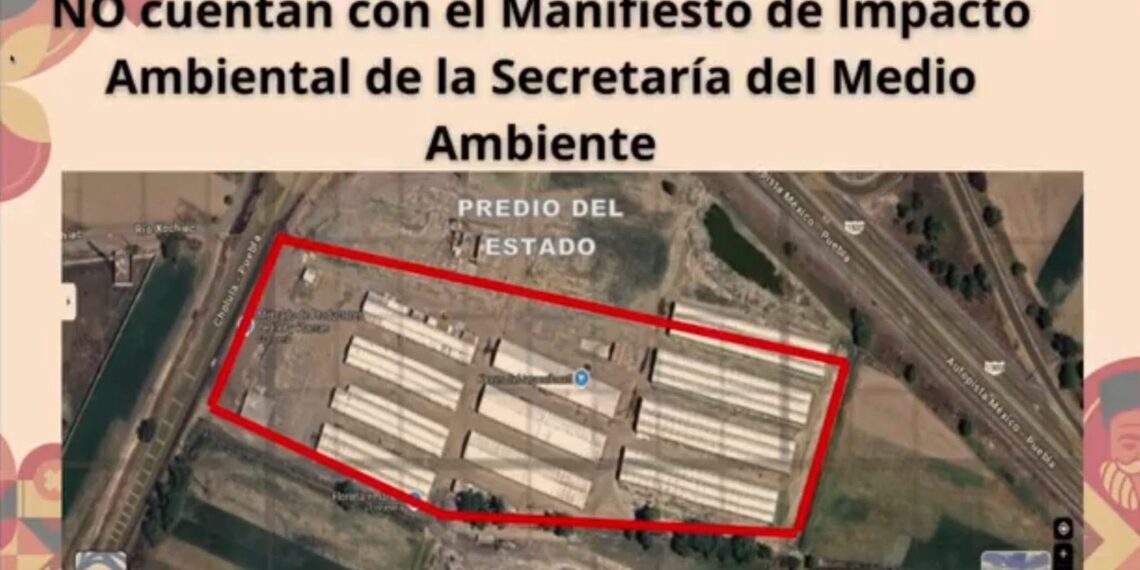 Detectan permisos ilegales en el Mercado de las Flores de Huejotzingo; exregidores involucrados en invasión de predios estatales