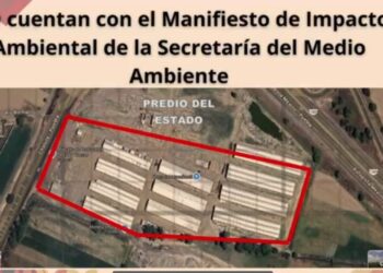 Detectan permisos ilegales en el Mercado de las Flores de Huejotzingo; exregidores involucrados en invasión de predios estatales