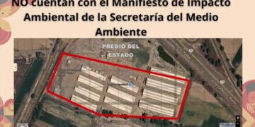Detectan permisos ilegales en el Mercado de las Flores de Huejotzingo; exregidores involucrados en invasión de predios estatales