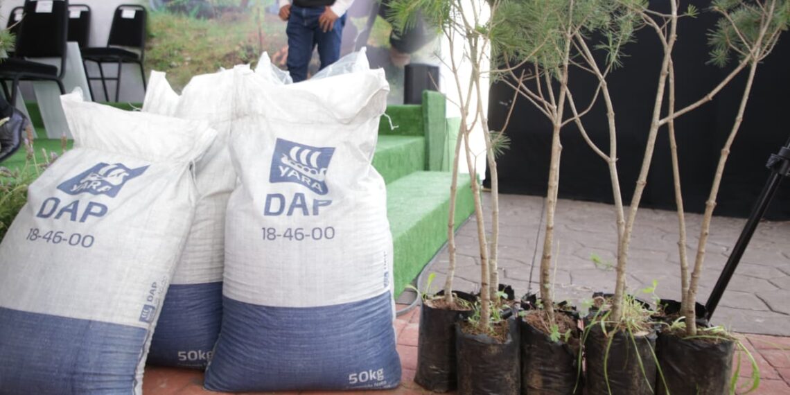 Con reforestación, Gobierno de Armenta Puebla construye paz ambiental