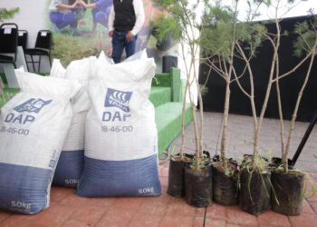 Con reforestación, Gobierno de Armenta Puebla construye paz ambiental