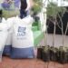 Con reforestación, Gobierno de Armenta Puebla construye paz ambiental