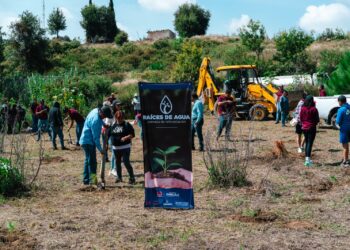 Se realiza la primera jornada de reforestación «Raíces de agua» en el cerro Zapotecas