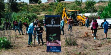 Se realiza la primera jornada de reforestación «Raíces de agua» en el cerro Zapotecas