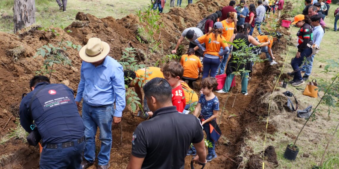 Tonantzin Fernández impulsa acciones ambientales con la jornada “Raíces de Agua” en el Cerro Zapotecas