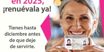 Más de 4 millones de Credenciales para Votar perderán vigencia el 1 de enero: INE