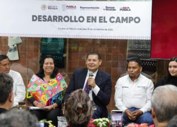 Gobierno de Puebla potencia producción de Nochebuena y consolida a Atlixco como líder nacional