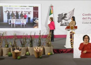 Federación y estado garantizan apoyo total a familias afectadas por lluvias atípicas